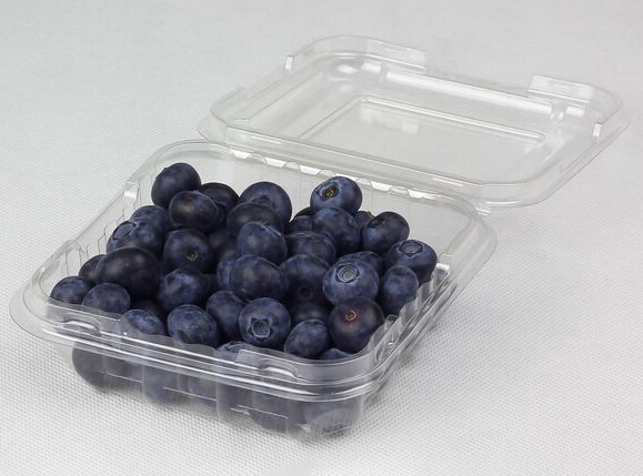蓝莓保鲜盒